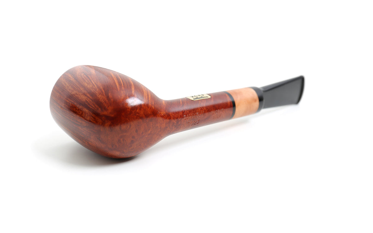 COLLECTION BROWN 2023