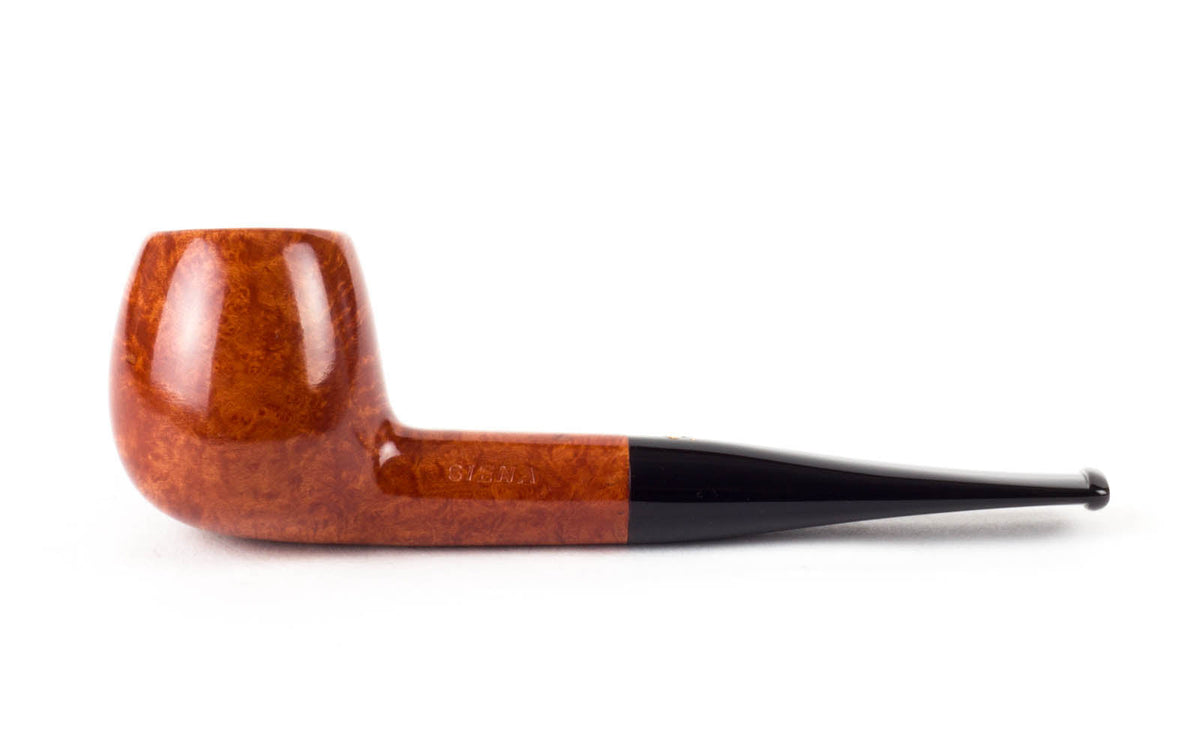 SIENA 207