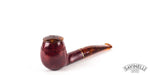 TORTUGA 173